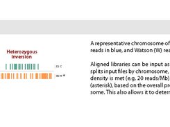 Strandseq-InvertR schematic_a