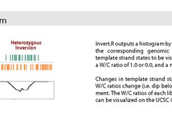 Strandseq-InvertR schematic_c
