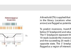 Strandseq-InvertR schematic_d