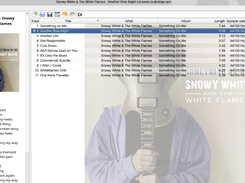 Strawberry Music Player Screenshot 1
