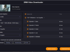 Downloader