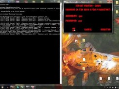 Login screen (server logging on the left)
