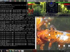 Single player mode