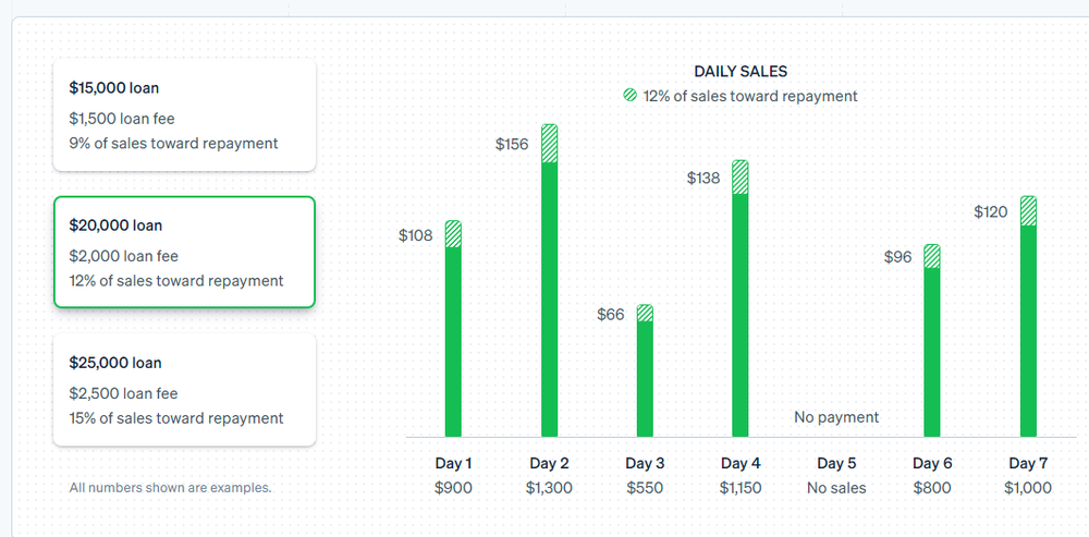 Stripe Capital Screenshot 1