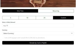Developers Stripe Card Donate Pay Form Screenshot 1