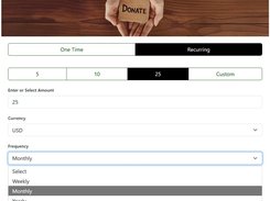 Developers Stripe Card Donate Pay Form Screenshot 6