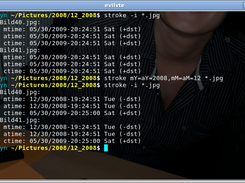 stroke Screenshot 1