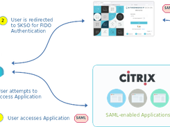 Citrix Gateway Integration Architecture