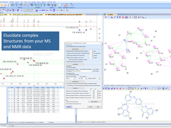 Structure Elucidator Screenshot 1