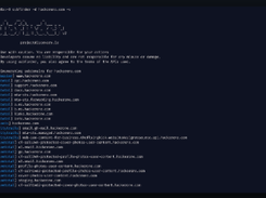 subfinder Screenshot 1