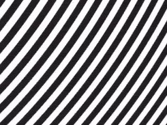 Subsampling Scale Image View Screenshot 1