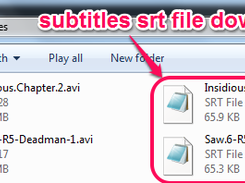 Subtitle file downloaded