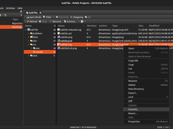 Browsing Working Copy (Ubuntu, dark)