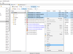 Browsing Working Copy (Windows 10)