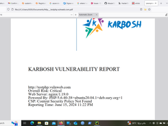 pdf report