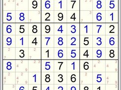 Sudoku 2010 Screenshot