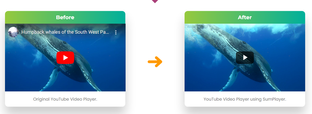 SumPlayer Screenshot 1