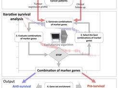 SURCOMED flow chart