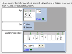 Knight Software Survey System Screenshot 1