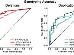 Genotyping Accuracy