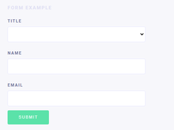 Svelte forms lib Screenshot 2