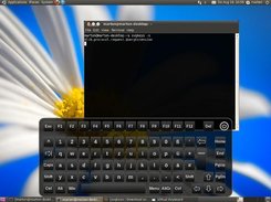 default theme & layout in Ubuntu 10.04 with German layout