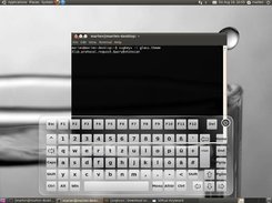 glass theme & layout in Ubuntu 10.04 with German layout