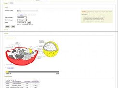 Image browser screen capture