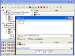 Commit dialog