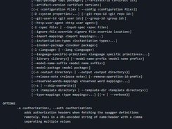 Swagger Codegen Screenshot 2
