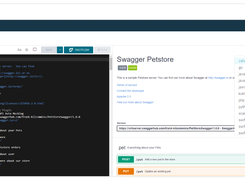 Swagger Codegen Screenshot 1