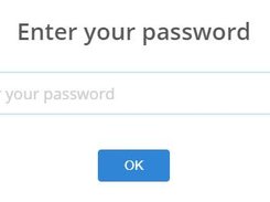 Password input