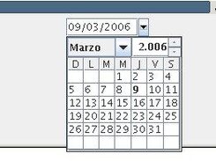 The date editor with calendar popup. 
