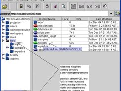 Local working directory assigned to collection.