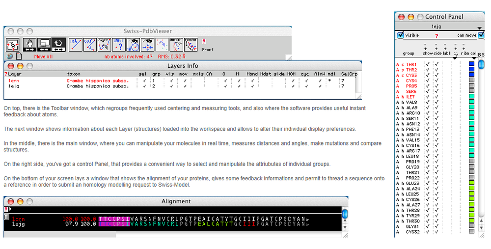 Swiss-PdbViewer Screenshot 1