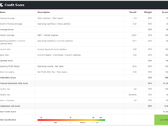 Transparent credit score