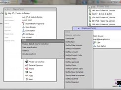 Screenshot of expenses application in SWT viewer