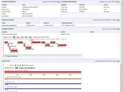 Protein/gene summary