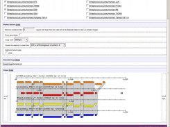 Genomic region comparison