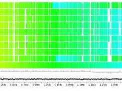 Synteny gradient view