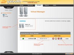 Virtual machines manager cluster