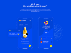 Synerise AI Growth Ecosystem