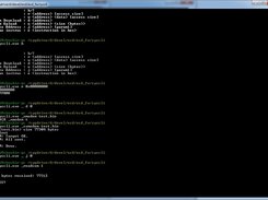Issuing commands to target CLI