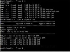 Listing applied patches (SPMS binary patch packages)