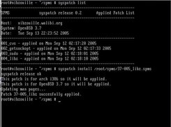 Installing a new SPMS binary-patch package