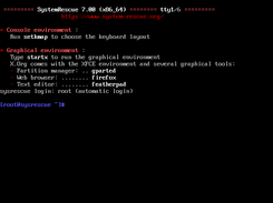 SystemRescue console