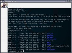 Widget gTerminal