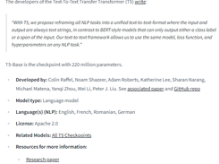 t5-base Screenshot 1
