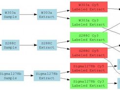 Example Tab2MAGE experiment visualization