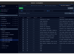 Overview — Main workspace with SQL editor and schema browser